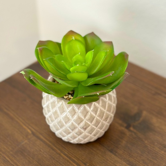 Artificial faux succulent in ceramic pot - Picture 1 of 6
